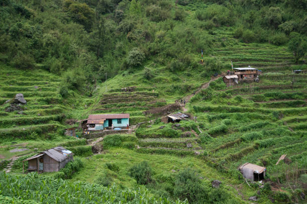 istock Annapurna sanctuary trek 876652494