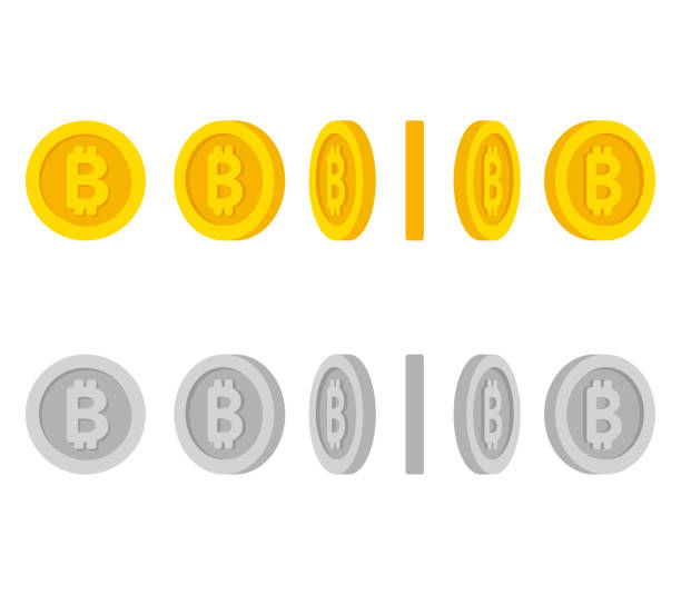 Bitcoin Coins Rotation Set Stock Illustration - Download Image Now -  Bitcoin, Vector, Coin - iStock