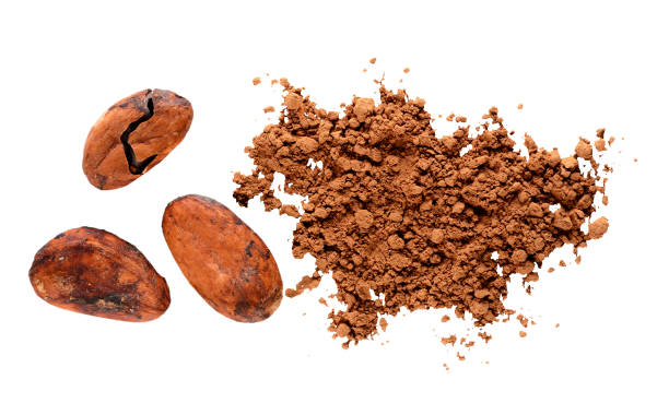 istock cocoa beans cocoa powder isolated on white 876657074