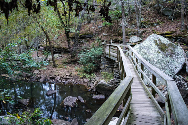 istock Single Person Bridge Over Creek 876660106