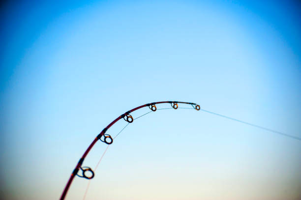 Deep Sea Fishing rod