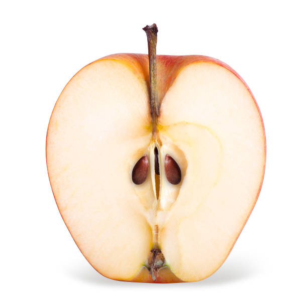 istock Closeup of red apple half isolated 876663388