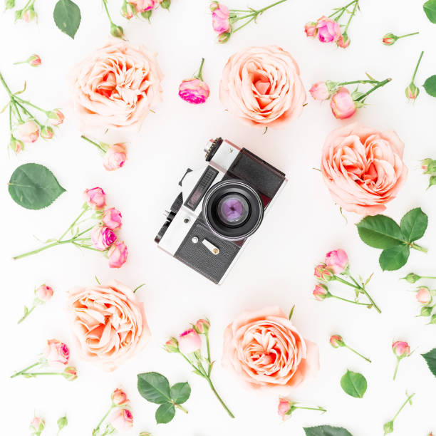 istock Old Camera on white background. Flat lay, top view. Floral background. 876663484