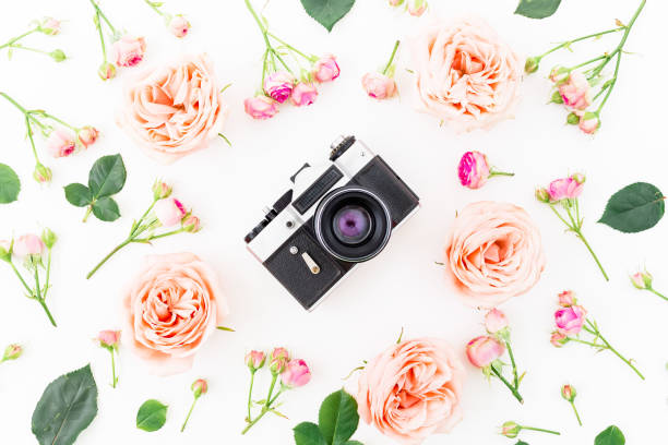 istock Round frame with pink roses and Old camera on white background. Flat lay, top view. Floral background. 876663486
