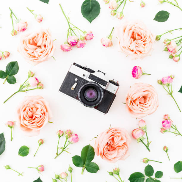 istock Round frame with pink roses and Old camera on white background. Flat lay, top view. Floral background. 876663512