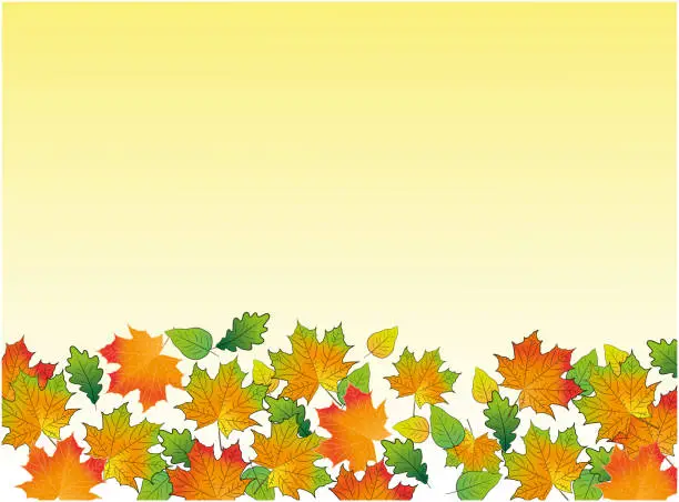 Vector illustration of autumn leaves on a background. autumn theme for the design of texts, postcards. vector illustration.