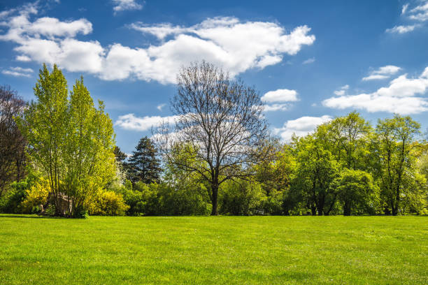 istock View on green path with trees through fields in Prague, Czech Republic 876666632