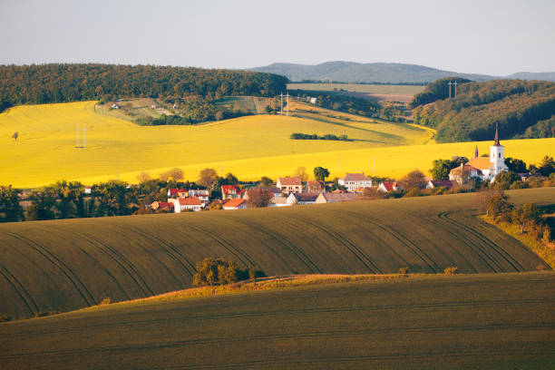 istock Endless Green Fields, Rolling Hills, Tractor Tracks, Spring Landscape under Blue Sky. South Moravia, Czech Republic 876666978