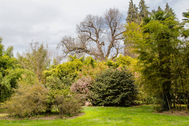 istock Japanese garden 876670702
