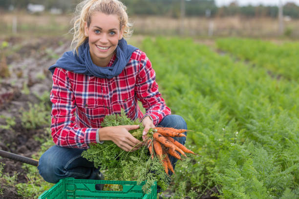 istock young female worker picking carrots in farm 876672388