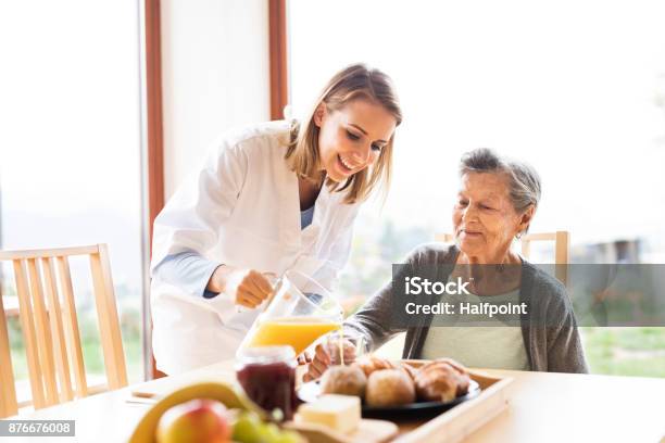 Health Visitor And A Senior Woman During Home Visit Stock Photo - Download Image Now