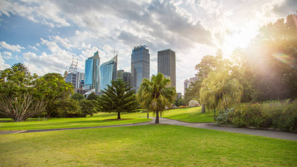 Sydney Skyscrapers and Botanical Gardens