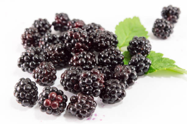istock blackberries and green leaves 876697362