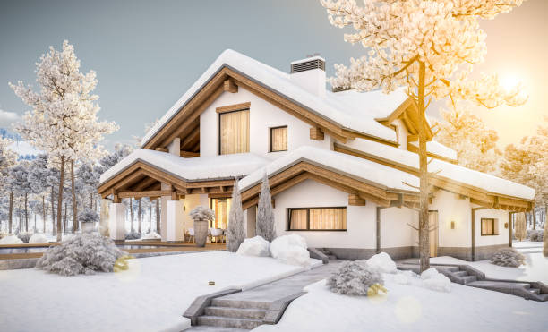 istock 3d rendering of modern cozy house in chalet style 876697462