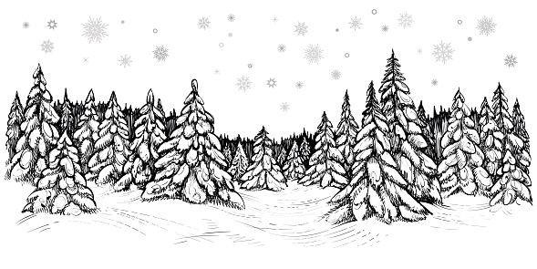 Winter coniferous trees forest covered with the snow, hand drawn sketch. Black and white vector illustration of snowy firs.