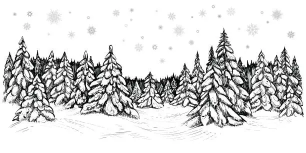 Vector illustration of Vector illustration of snowy firs. Winter forest covered with the snow, hand drawn sketch.