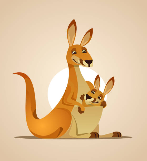 Happy mom kangaroo character and kangaroo child in her bag Happy mom kangaroo character and kangaroo child in her bag. Vector cartoon illustration joey stock illustrations