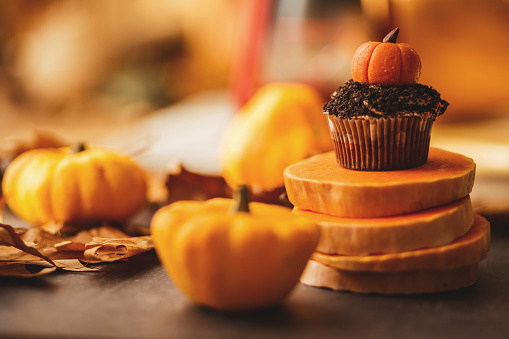 Chocolate cupcake with pumpkin shaped ornament is on top of four slices of raw pumpkin.