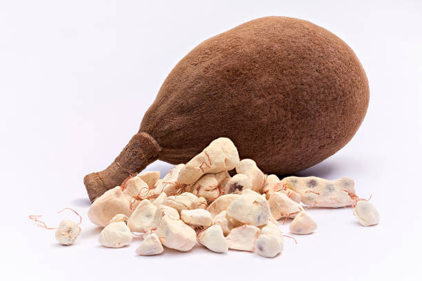 Baobab fruit (Adansonia digitata) on white background, pulp and powder, superfood