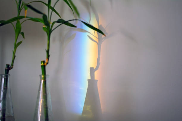 Bamboo chutes with colourful rainbow refraction on wall
