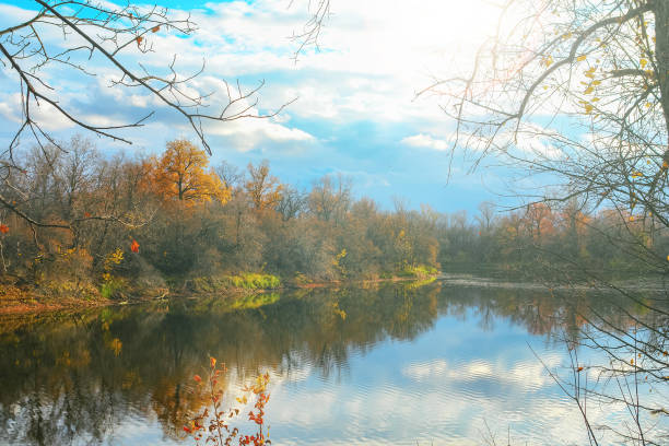istock Forest lake in autumn forest 876720804