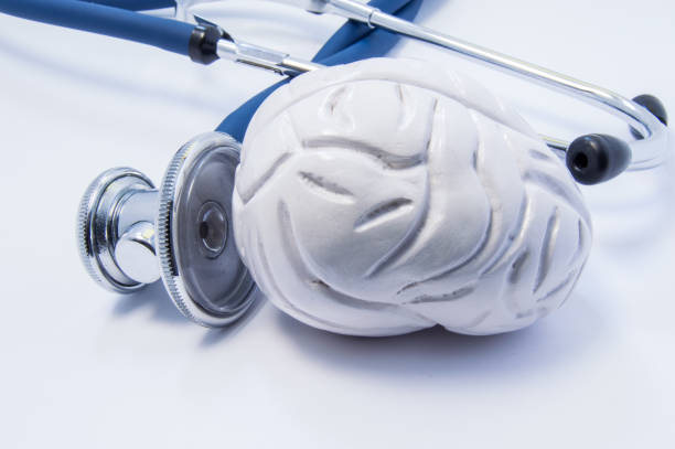 Anatomical 3D model of human brain as organ near stethoscope which big chestpiece is research or tests of brain. Concept photo for diagnosis health and treatment of brain diseases like cancer, stroke modelo anatómico 3d del cerebro humano como órgano cerca de estetoscopio que campana grande es investigación o pruebas del cerebro. foto de concepto de salud diagnóstico y tratamiento de enfermedades del cerebro como el cáncer, movimiento