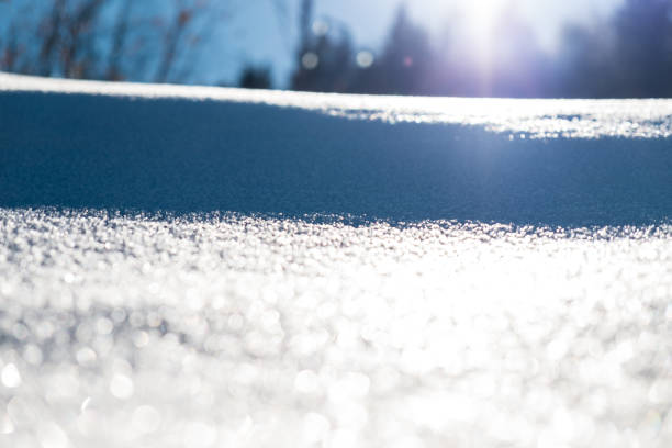 Lights and shadows in the snow