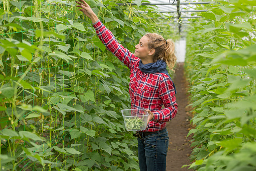 farmer