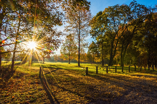 Bright sunshine and an early morning view of Thompson Grove Park in Manalapan New Jersey.