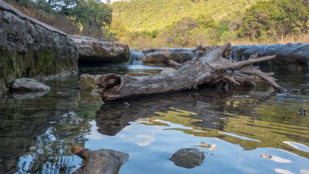 istock View of Large Tree Trunk On Water With Waterfall behind it 876779816