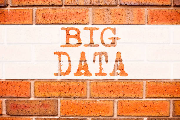 istock Conceptual announcement text caption inspiration showing Big Data. Business concept for Storage Network Online Server written on old brick background with copy space 876781040