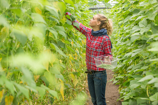 farmer