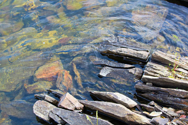 divisão rochas ao longo de uma borda de águas do escudo canadense - water surface standing water waters edge water - fotografias e filmes do acervo