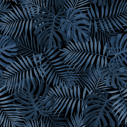 Dark Indigo Blue Tropical Leaf background design featuring palm and monstera leaves. Seamless vector pattern.