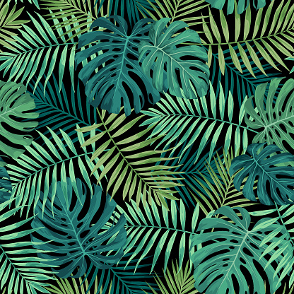 Tropical leaf design featuring green palm and Monstera plant leaves on a black background. Seamless vector repeating pattern.
