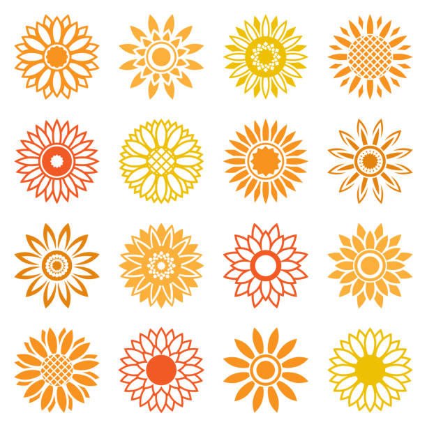 Sunflower icons for logo and labels Vector sunflower icons isolated leaf isolated on white background. Midsummer plants signs for logo and labels orange sunflower stock illustrations