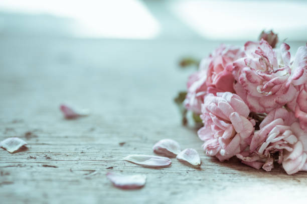 Pink roses on wooden table background, Romantic floral theme
