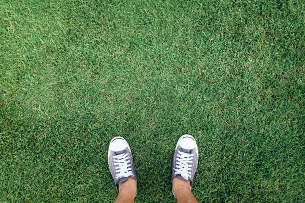 istock Sneakers standing on the green grass,top view. 876810266