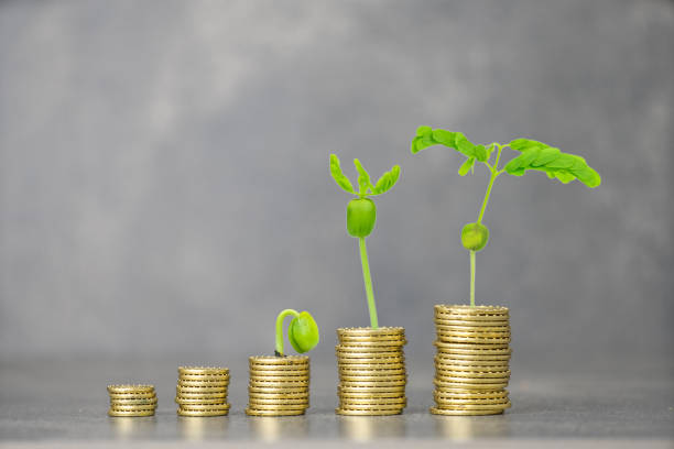 istock Close up gold  coin stacking on dark background 876832628