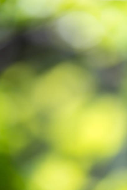 istock abstract bokeh background of nature 876835650
