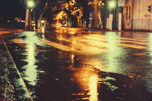 istock Rainy night in the big city 876837854