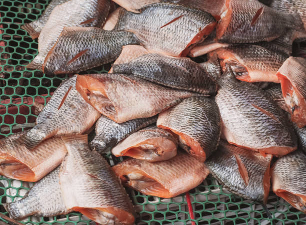 istock Dried fish expose to sun, Food image 876840590