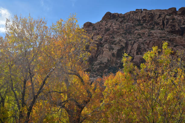 istock Red Rock Canyon desert landscape 876841244