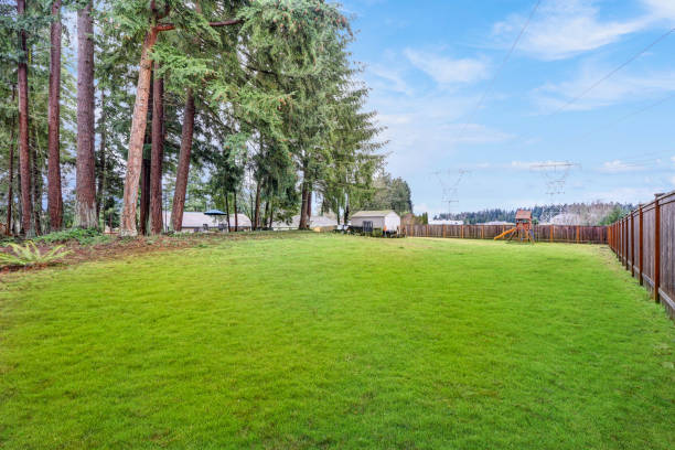 istock Fully fenced grass filled  backyard with lots of space 876847710