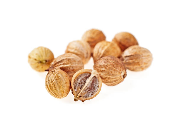 istock Seeds of coriander on a white background, whole and half. Selective focus. 876858758