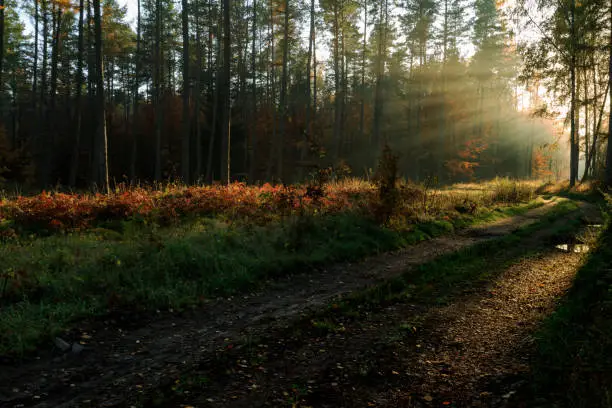 Fall season landscape in north Poland.Pomeranian province