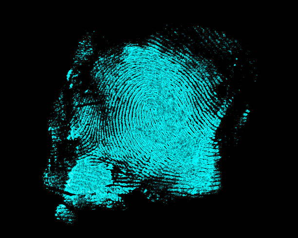 istock Fingerprint on black background. Fingerprint with ultraviolet lamp. 876864486