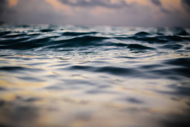 istock Beach Shore by the sea 876865582