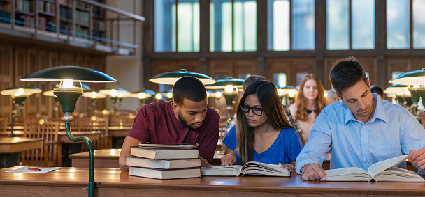Multi Ethnic Students Studying In A Library