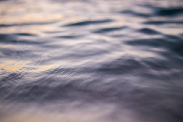 istock Beach Shore by the sea 876867934